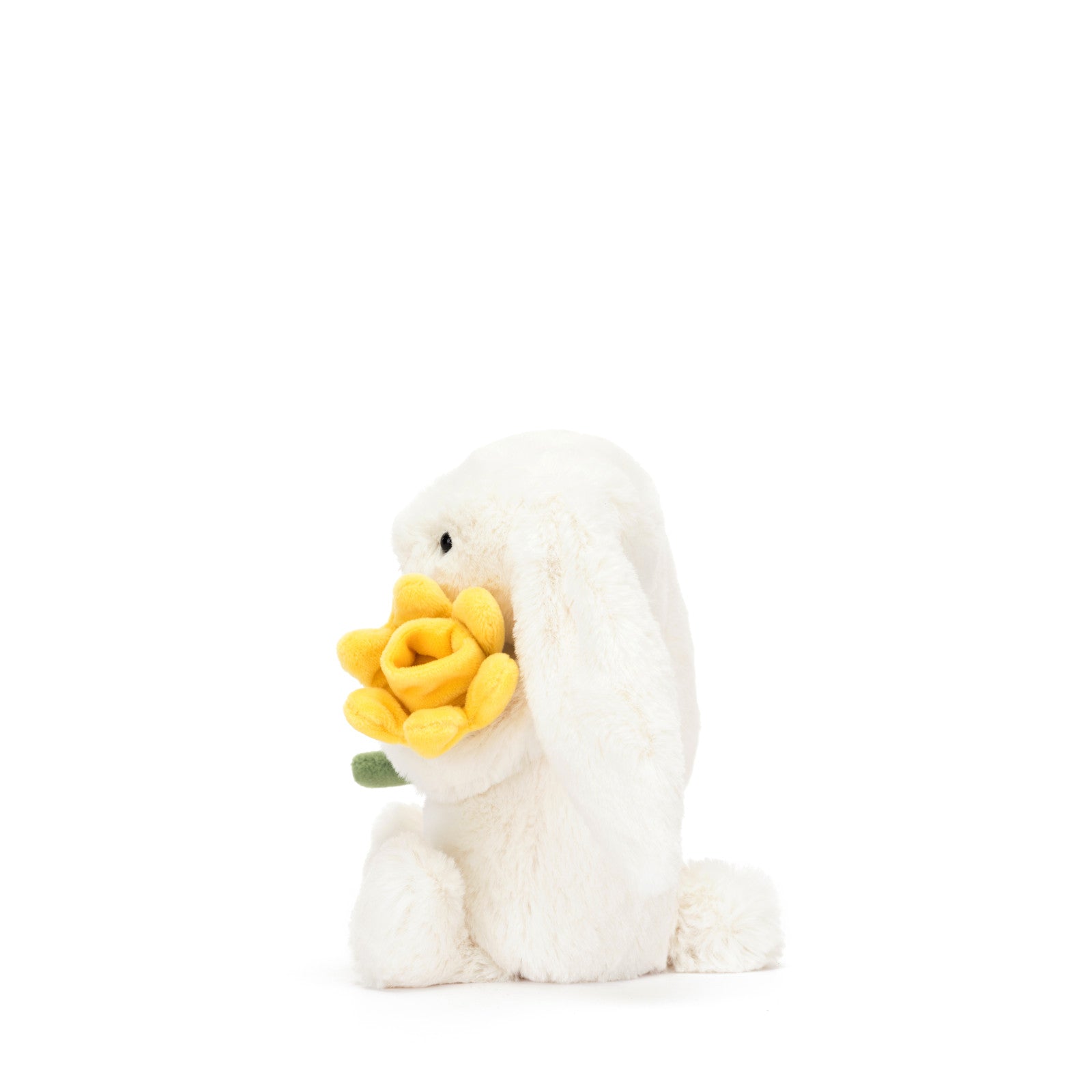 Little Bashful Bunny Daffodil