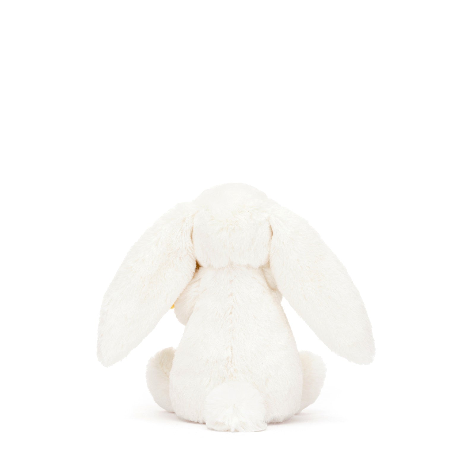 Little Bashful Bunny Daffodil