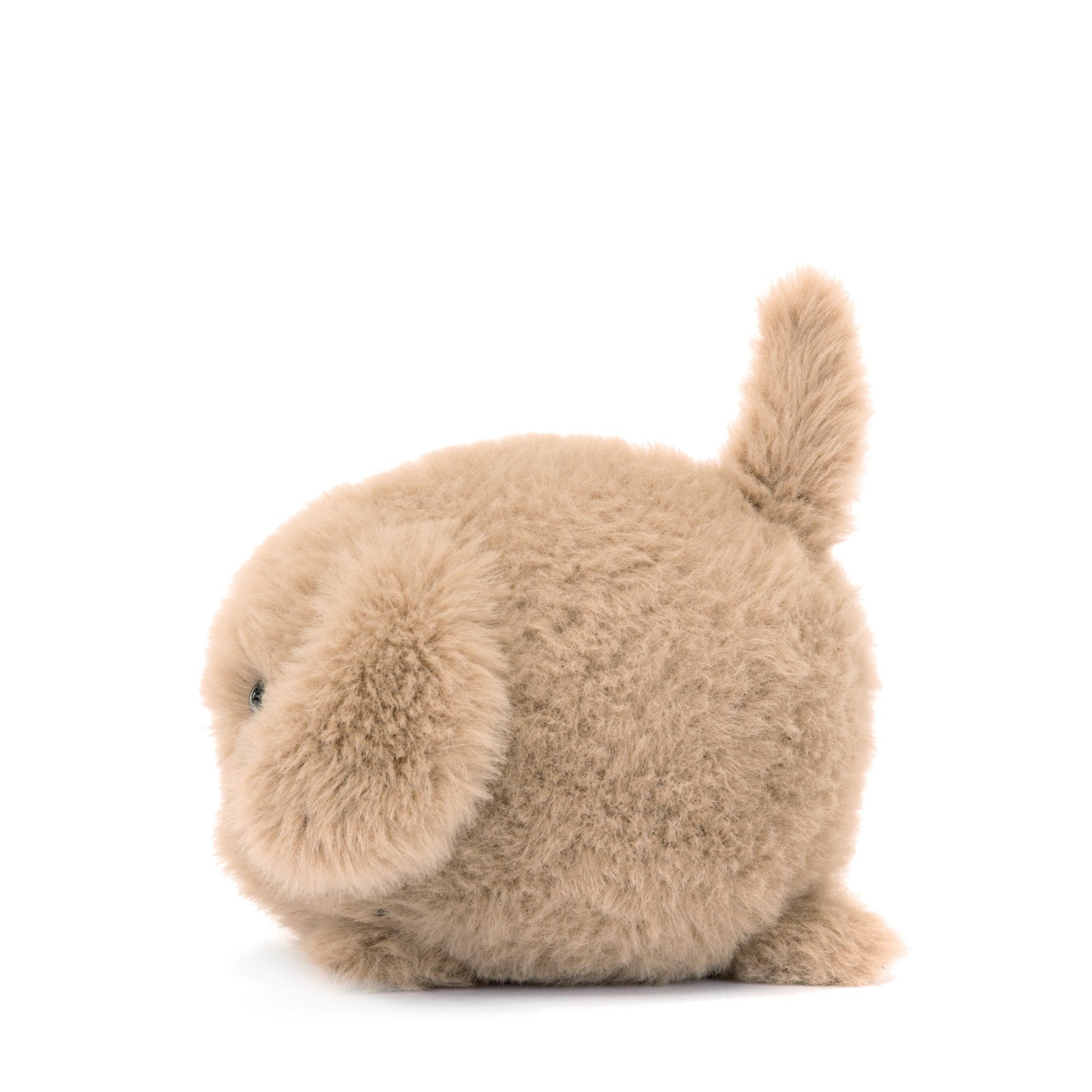 Caboodle Puppy