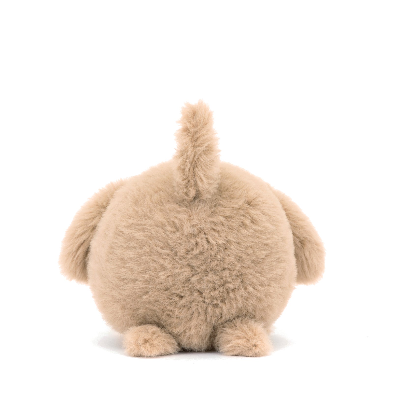 Caboodle Puppy