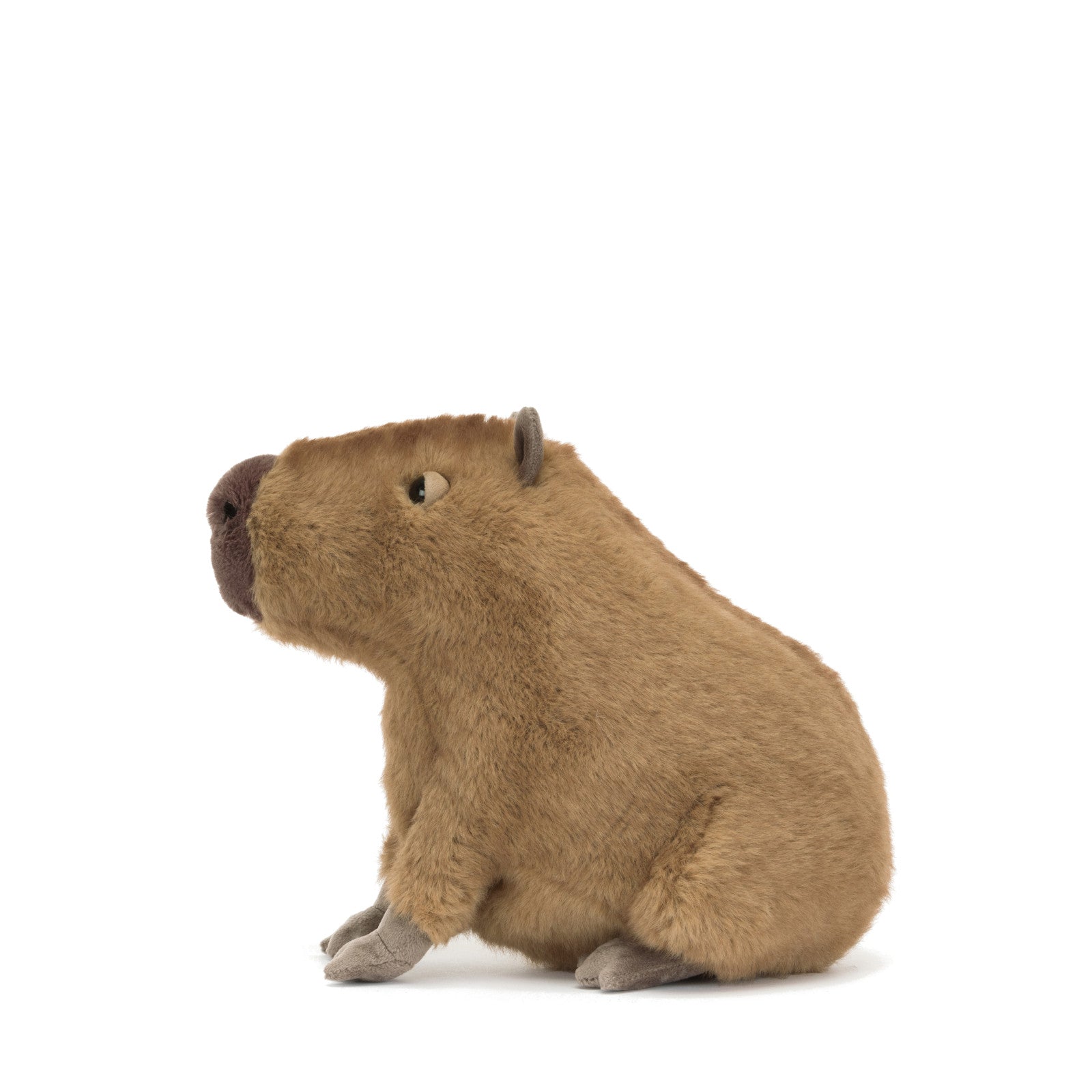 Clyde Capybara