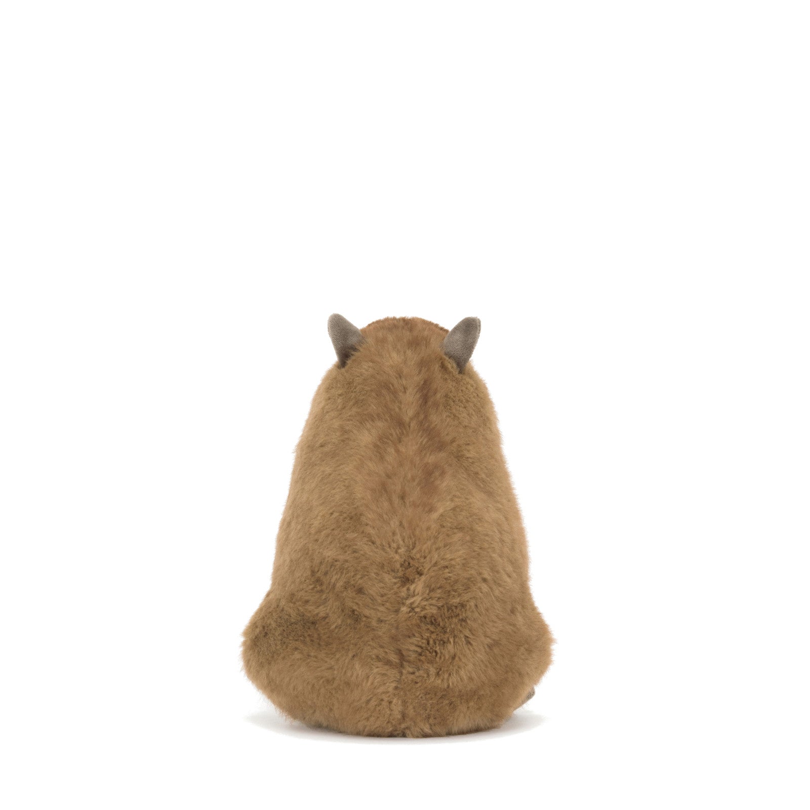 Clyde Capybara