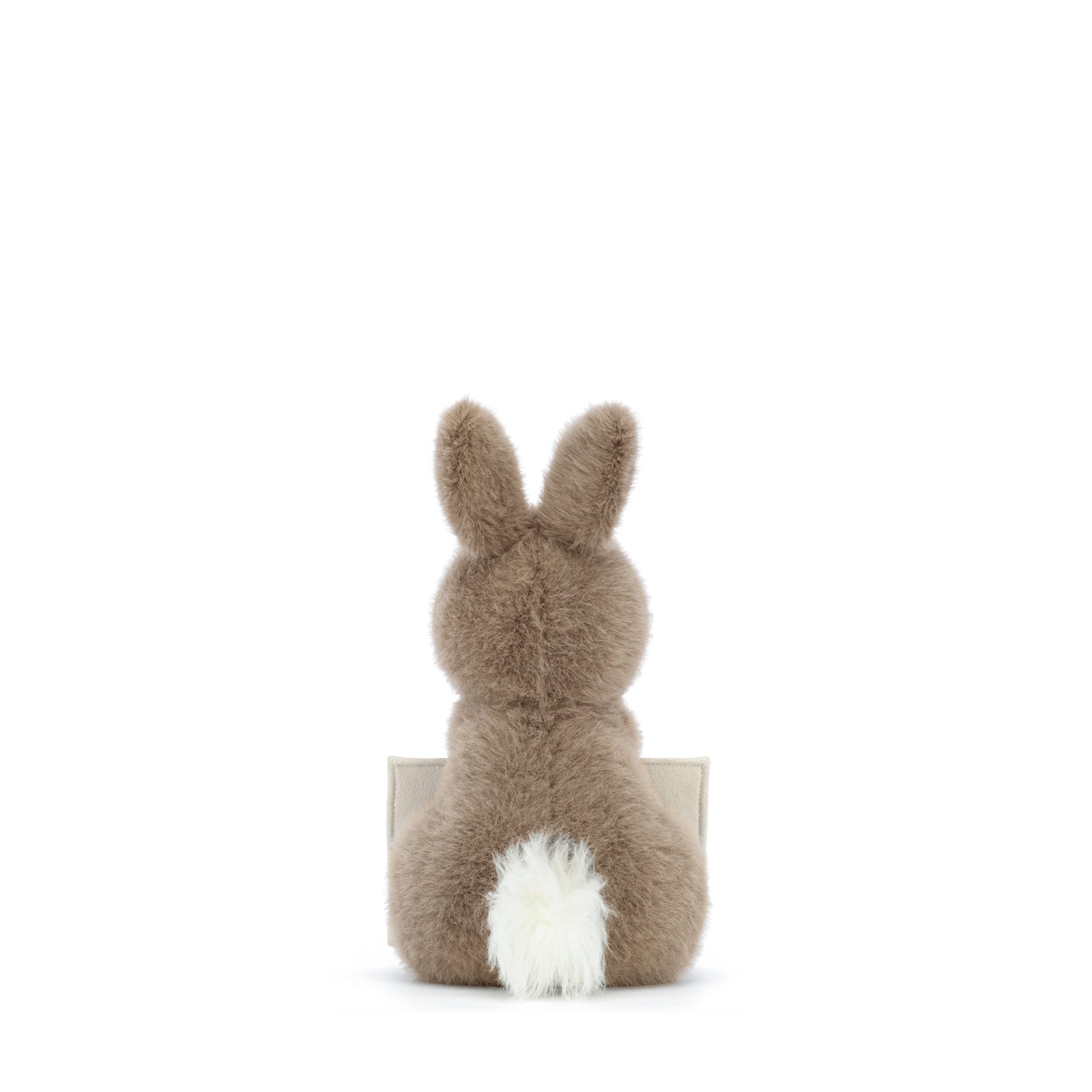 Messenger Bunny