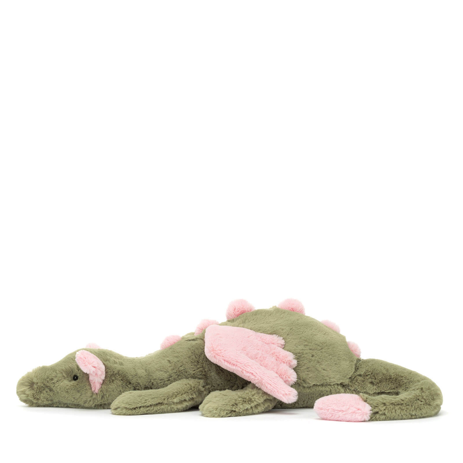 Malachy Dragon
