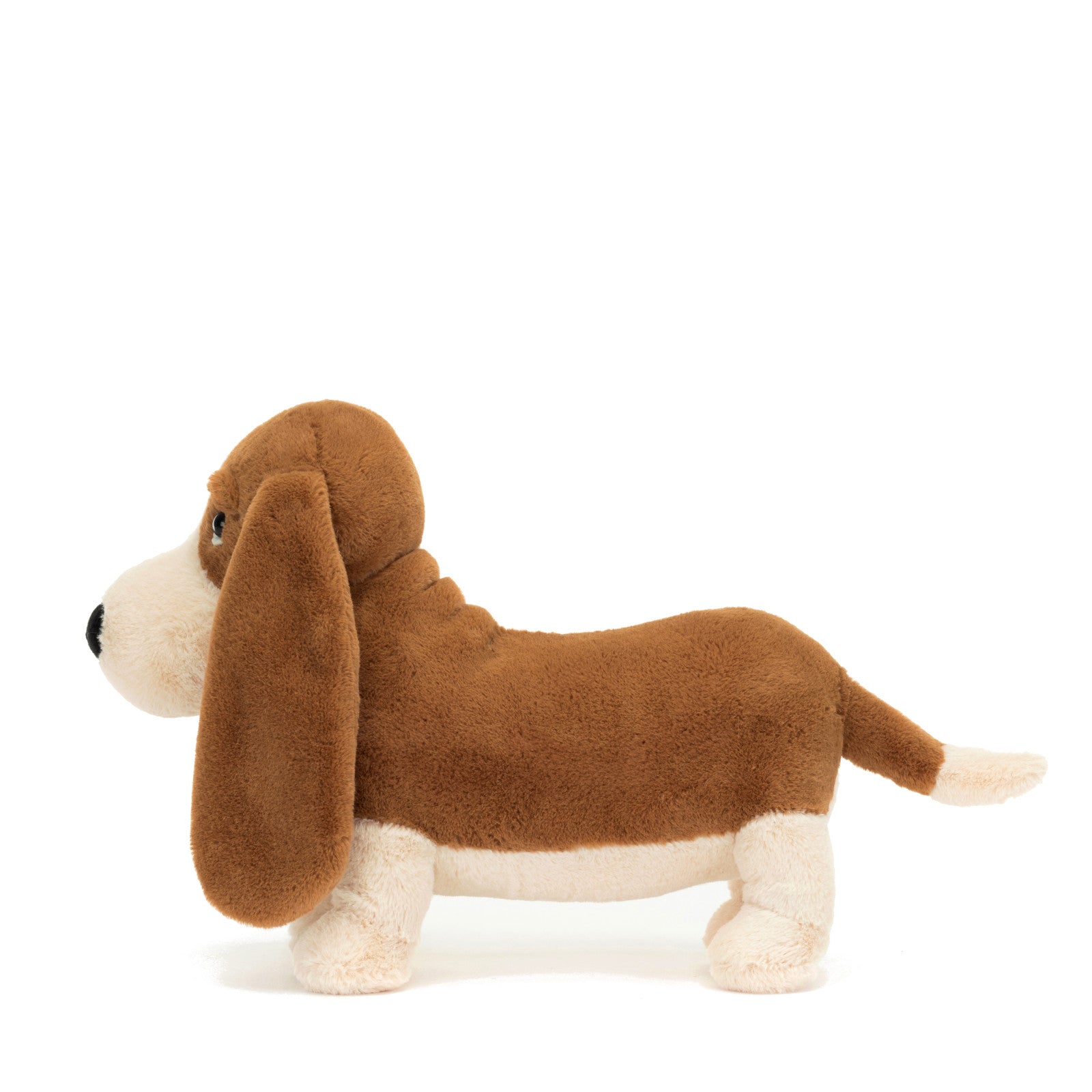 Randall Basset Hound