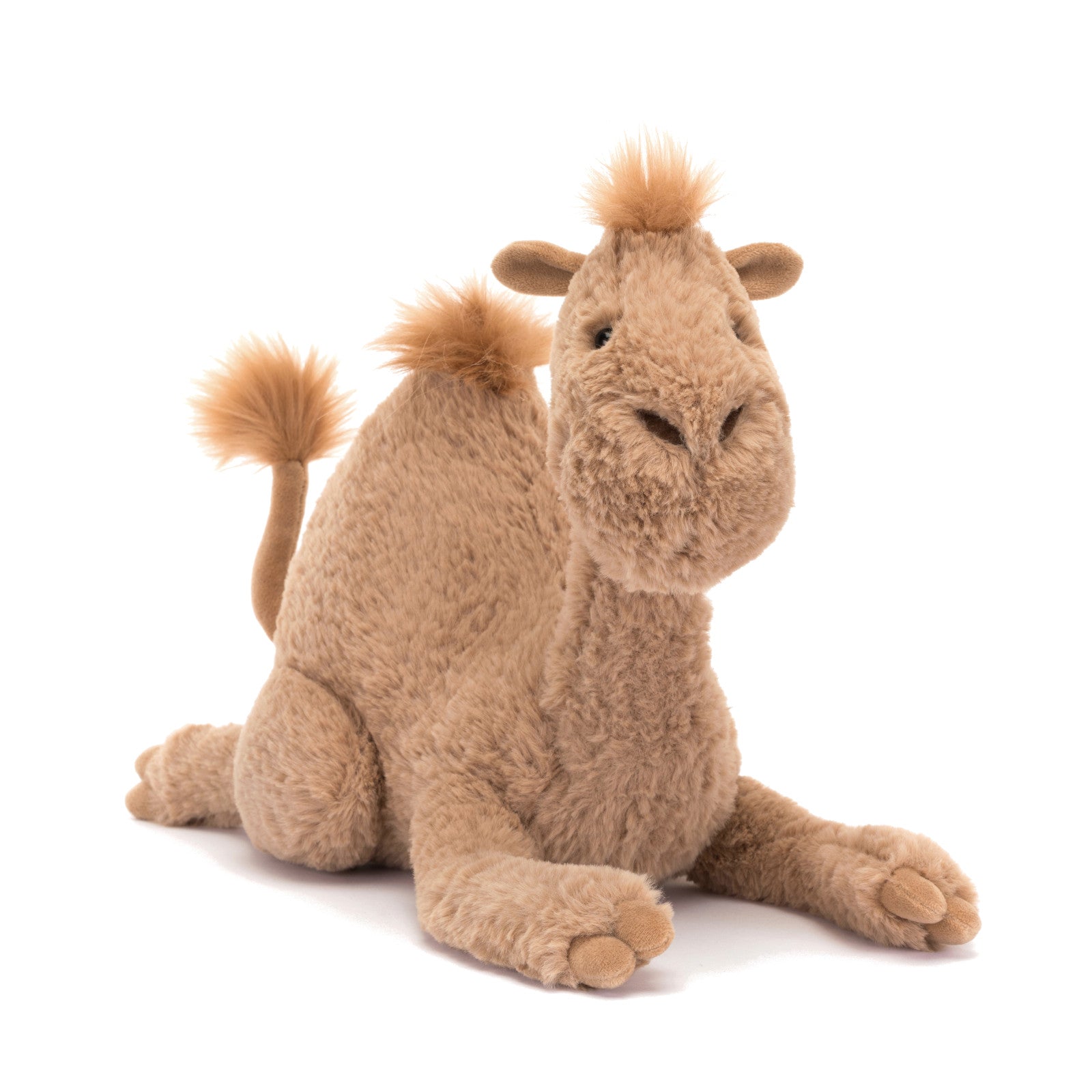 Richie Dromedary