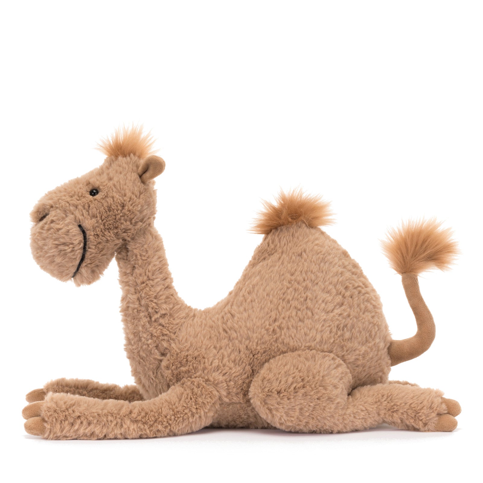 Richie Dromedary