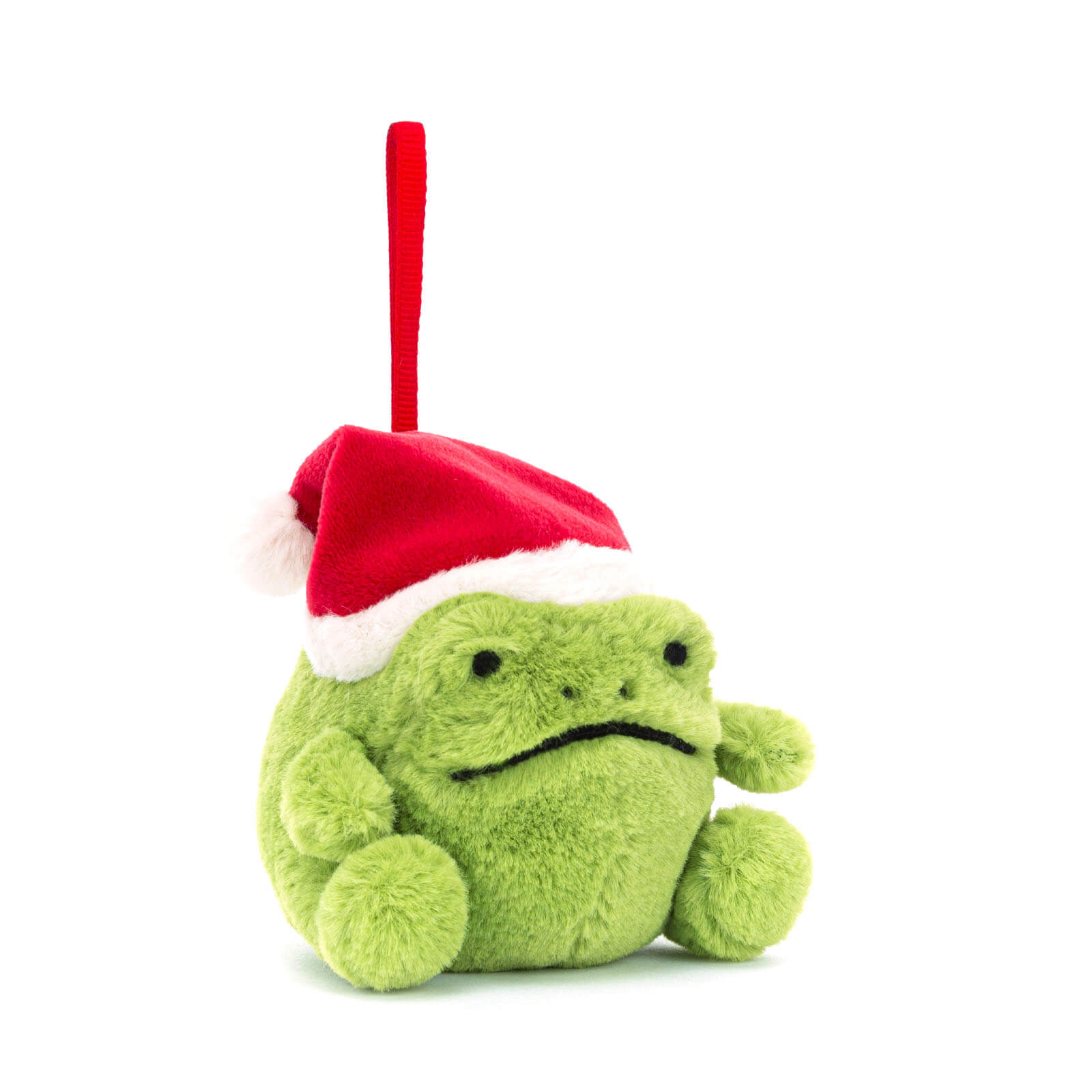 Ricky Rain Frog Decoration