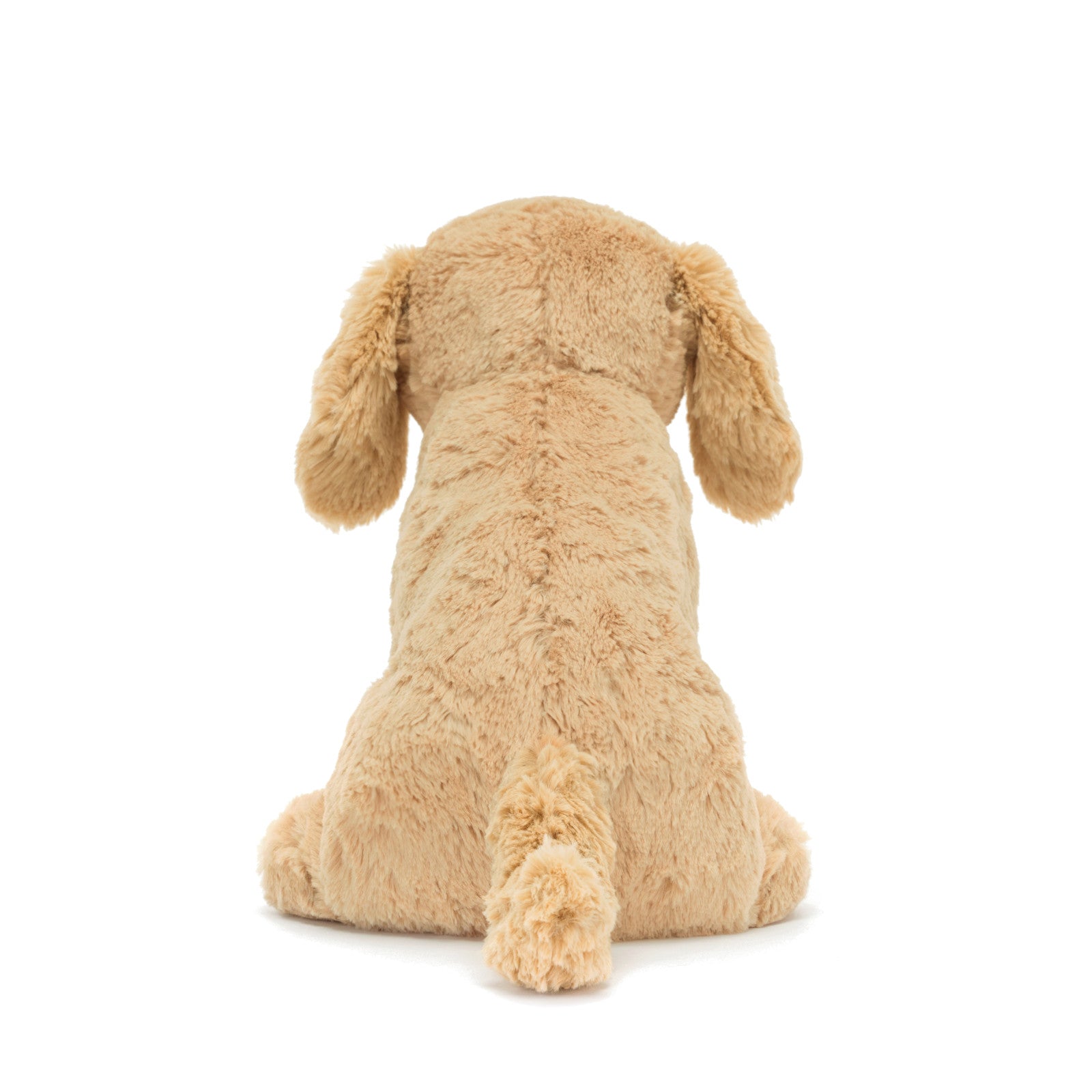 Tilly Golden Retriever
