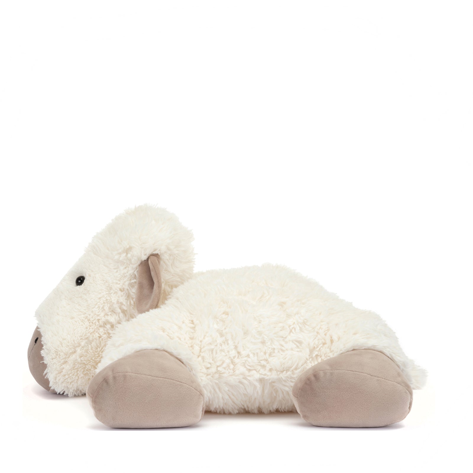 Large Truffles Sheep