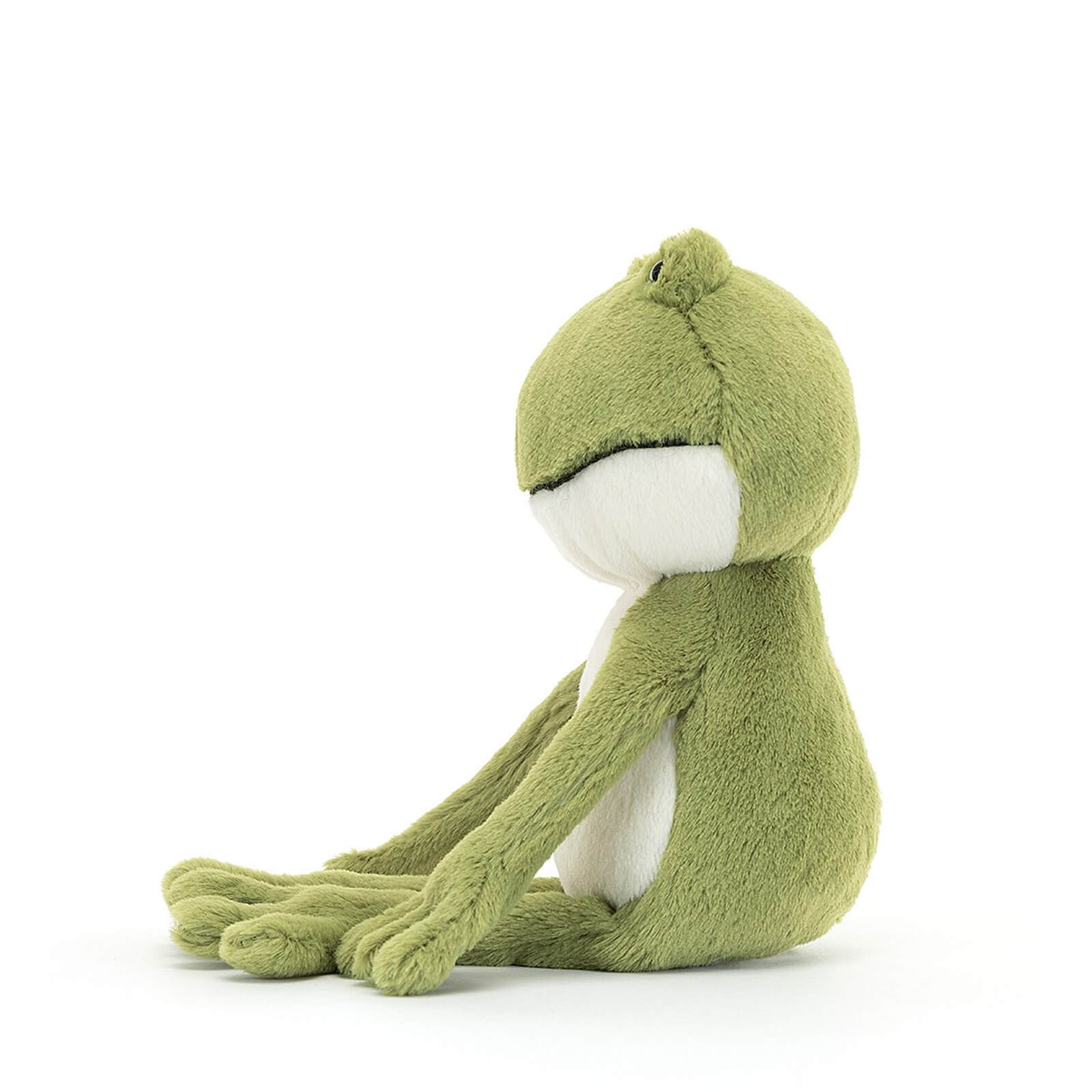 Finnegan Frog