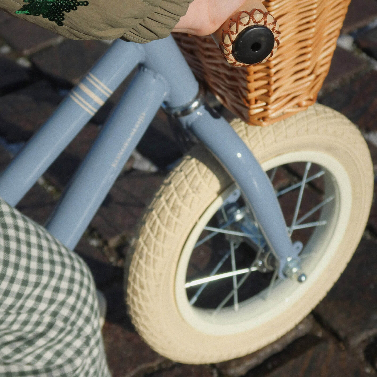 Balance Bicycle - Blue Stripe