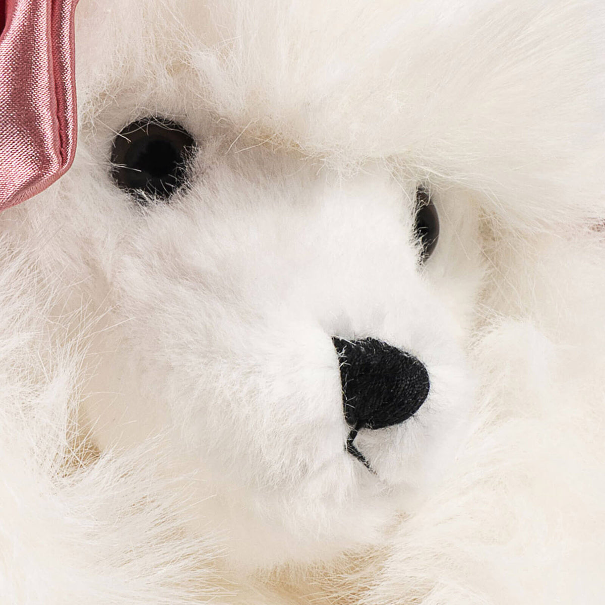 Spitz Soft Puppy