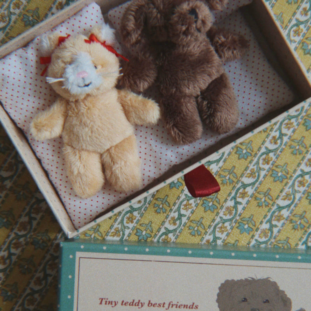Tiny Teddies In Box - Best Friends
