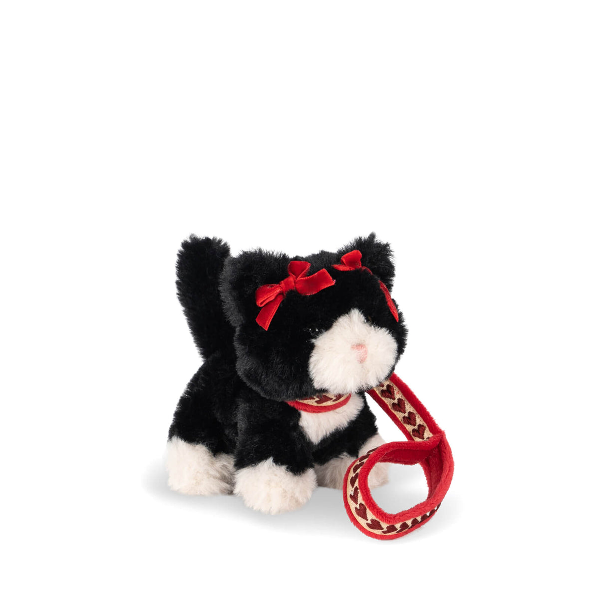 Pet Kitty Cat - Black Beauty