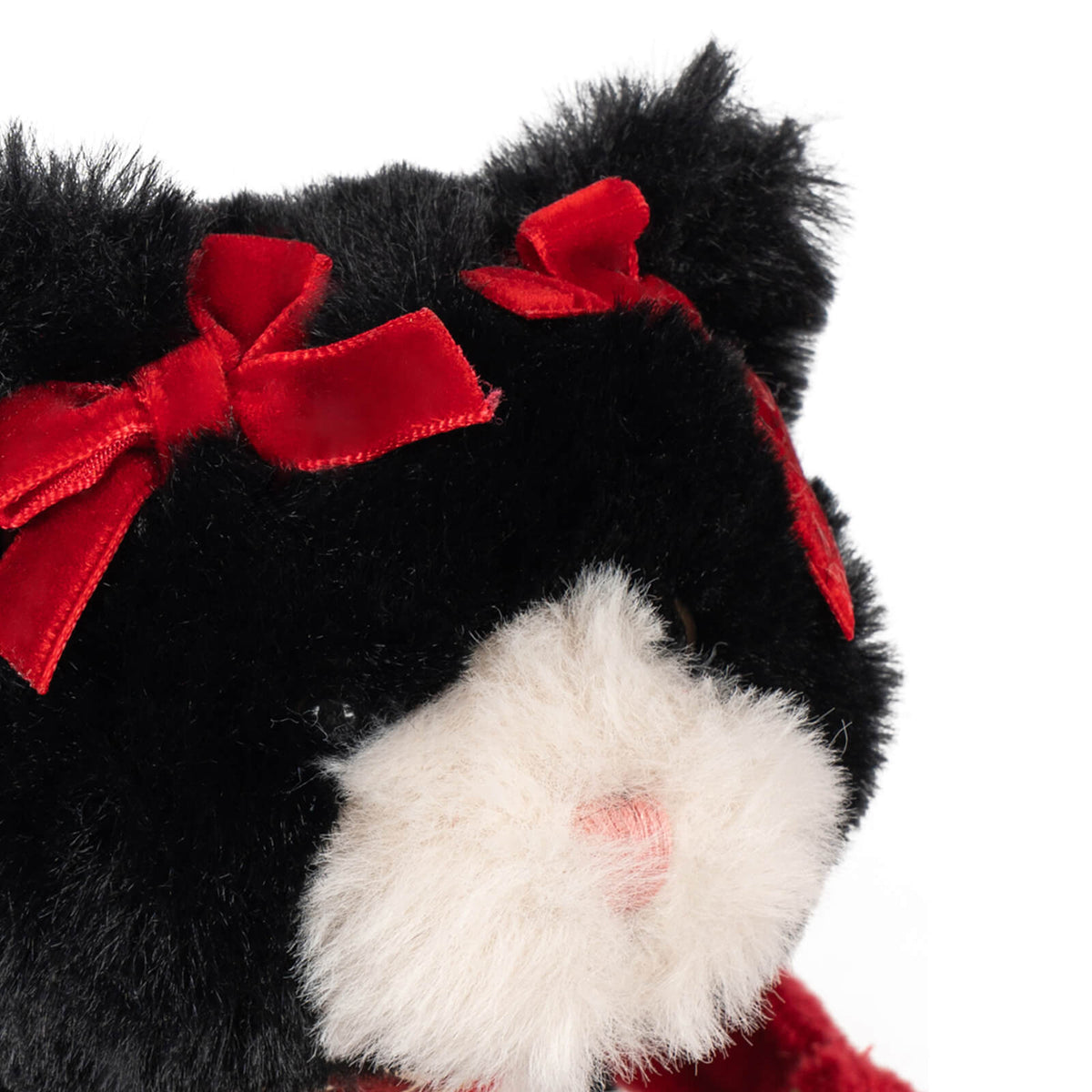 Pet Kitty Cat - Black Beauty
