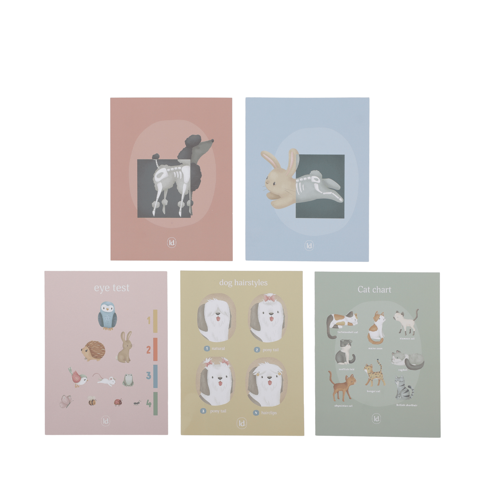 Veterinarian Practice Plus Accessories