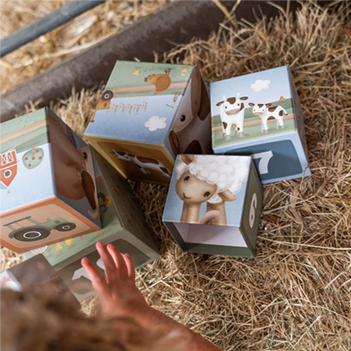 Building Blocks Cardboard - Little Farm