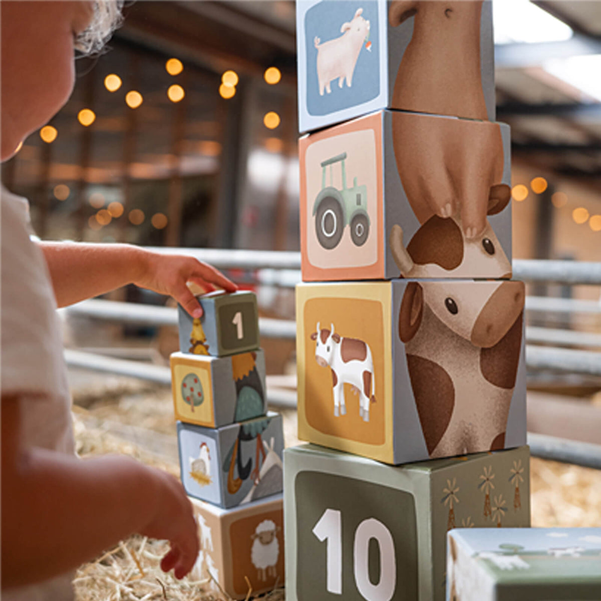 Building Blocks Cardboard - Little Farm