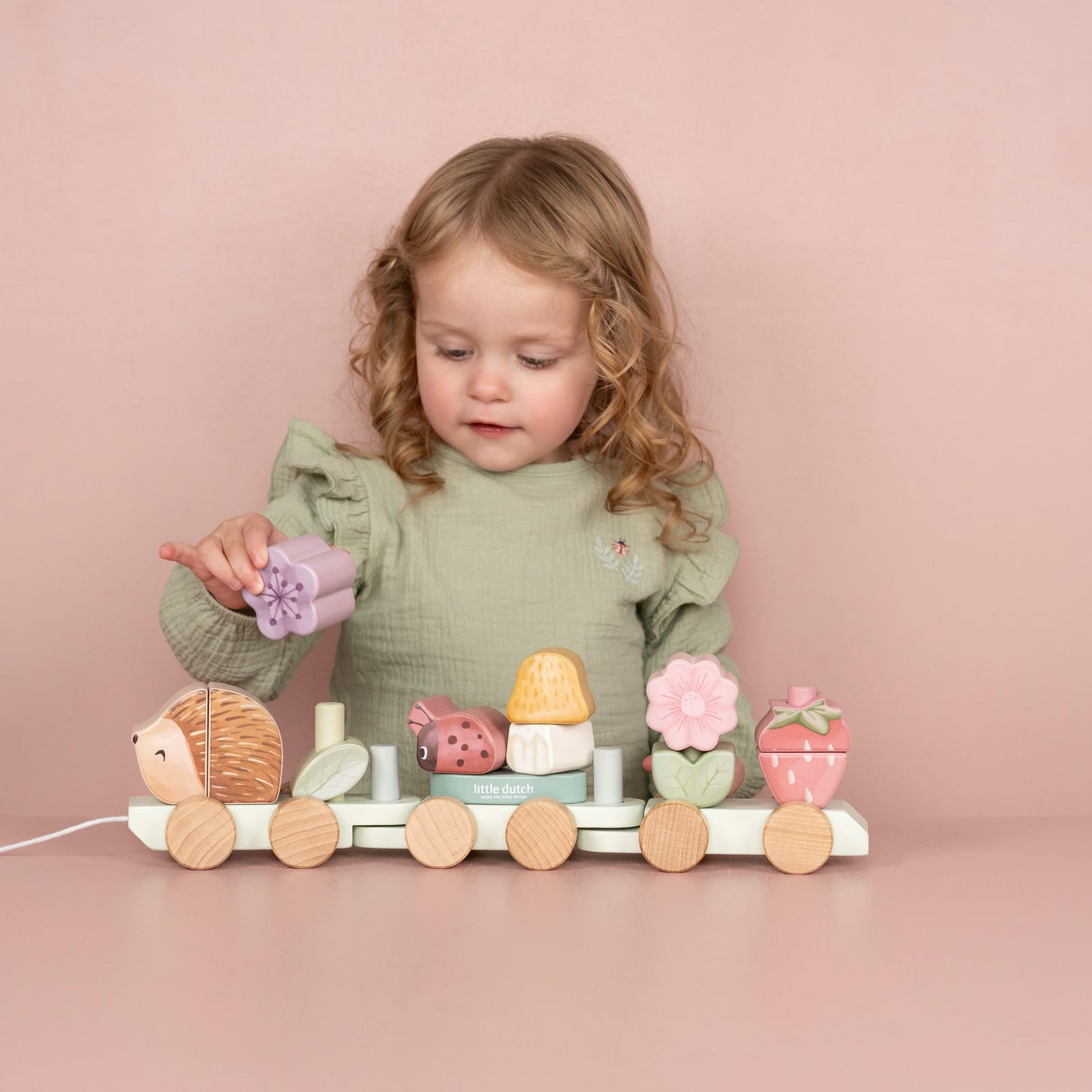 Stacking Train - Fairy Garden Hedgehog