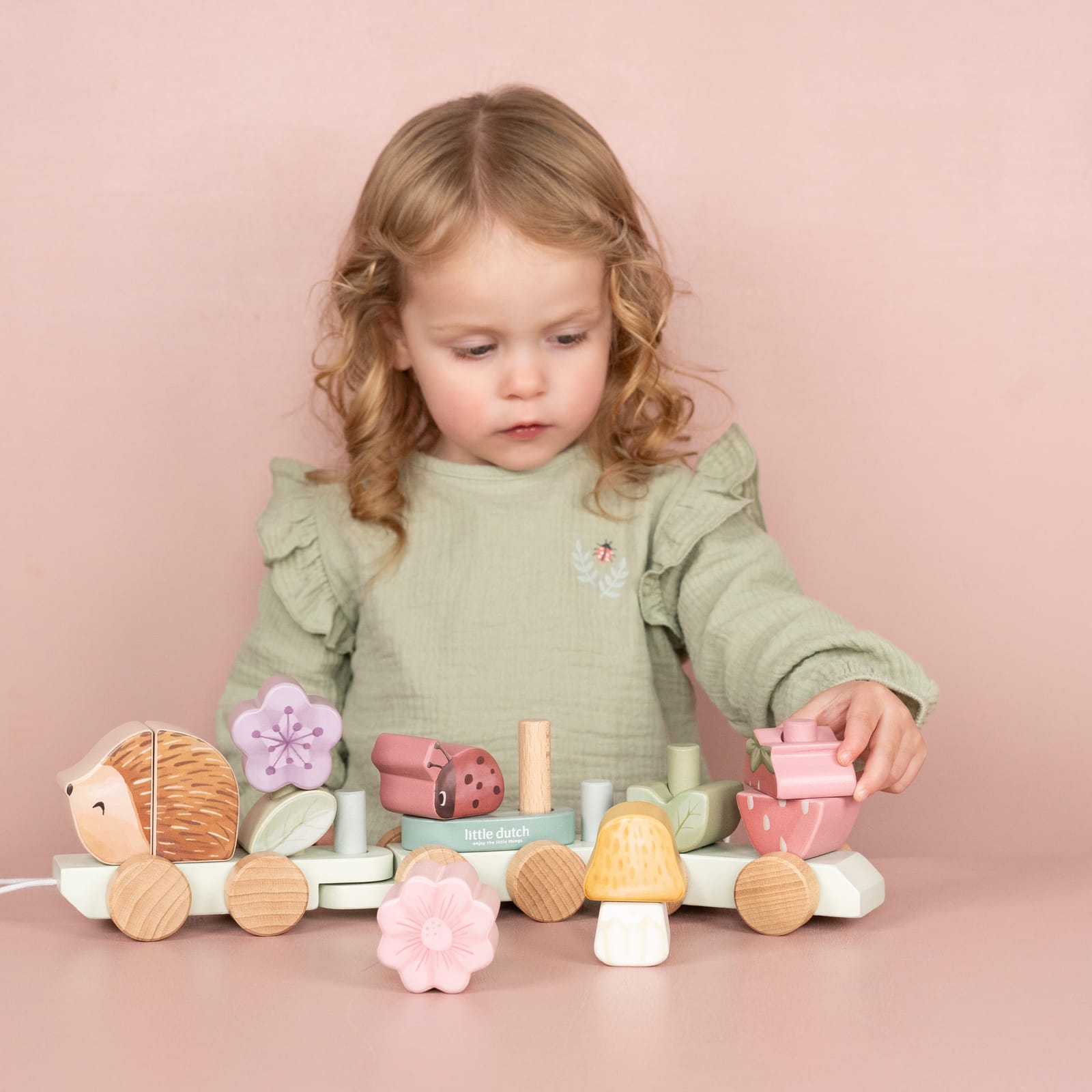 Stacking Train - Fairy Garden Hedgehog