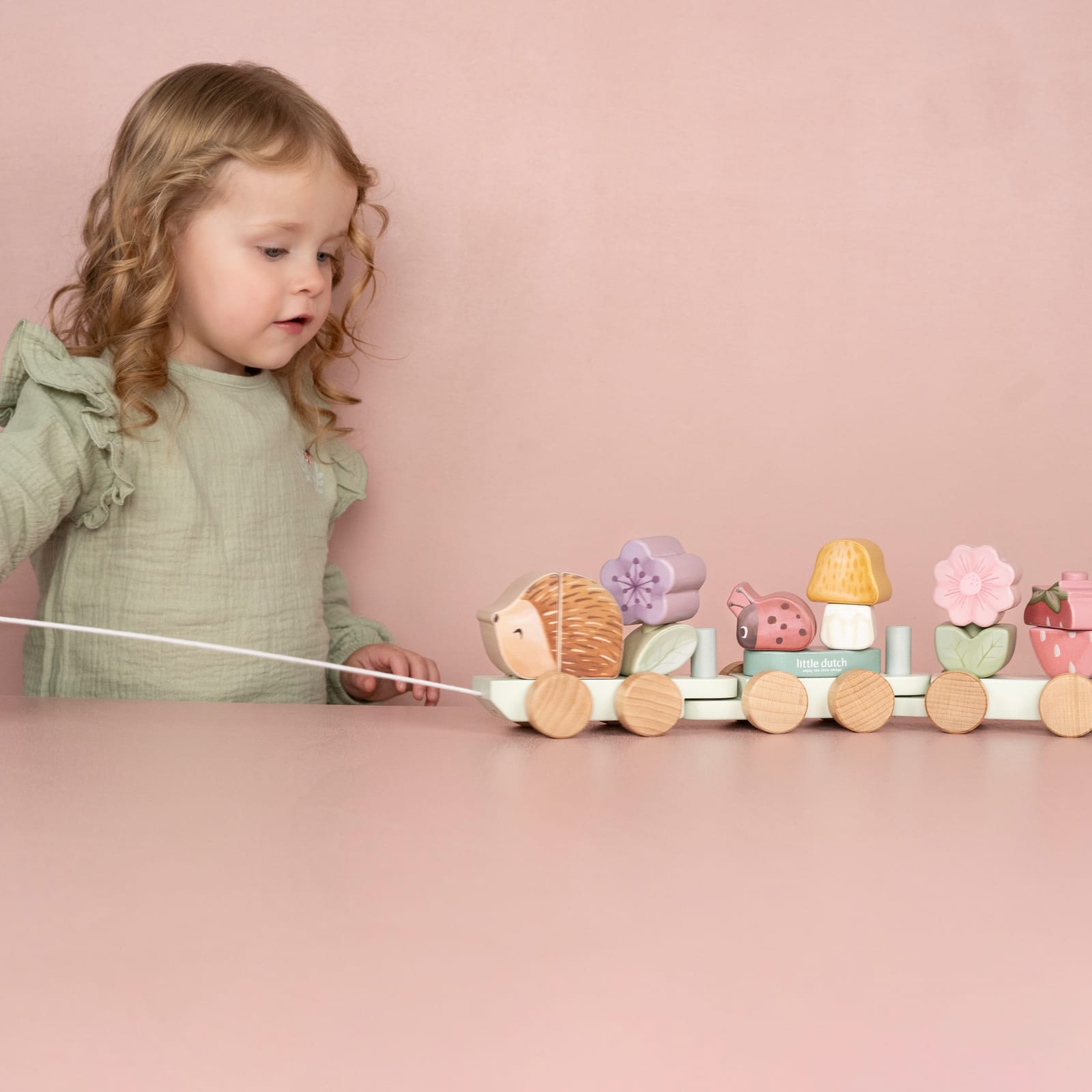 Stacking Train - Fairy Garden Hedgehog