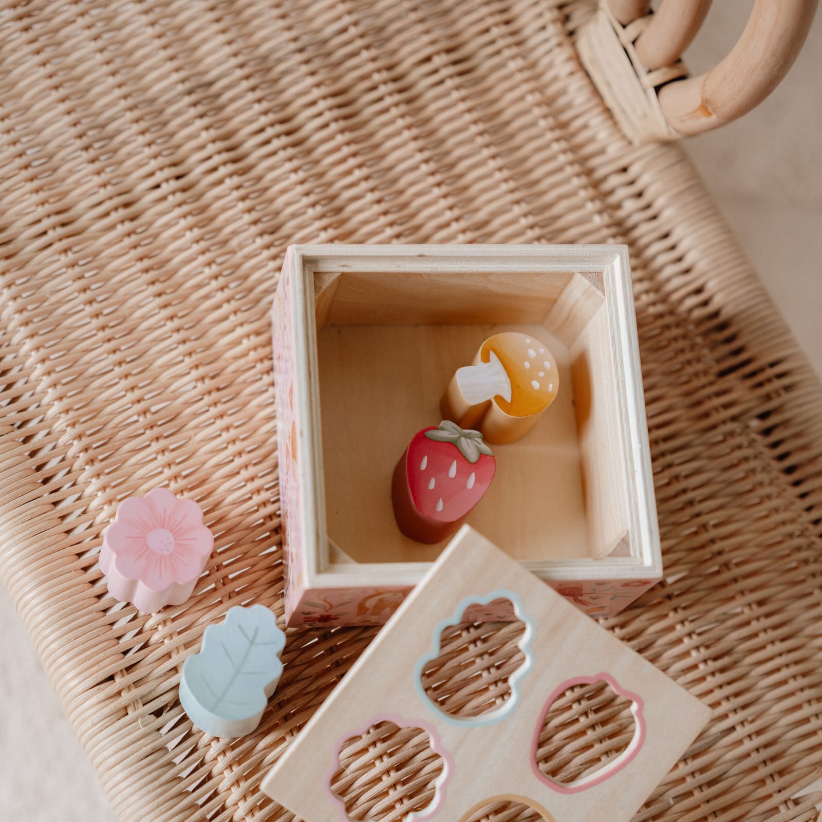 Shape Sorter - Fairy Garden