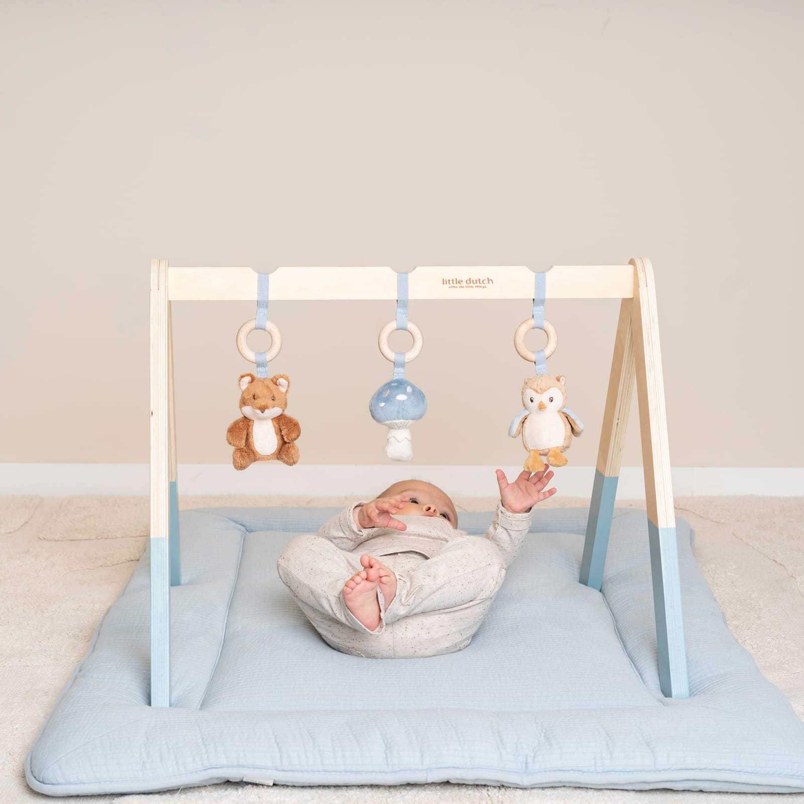 Baby Gym - Forest Friends