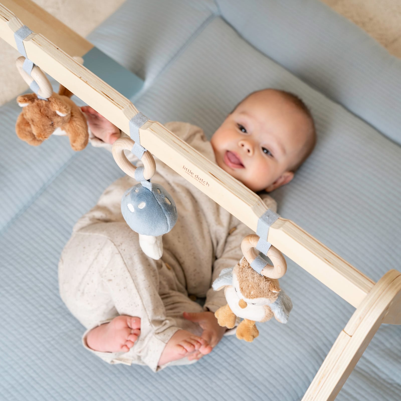 Baby Gym - Forest Friends