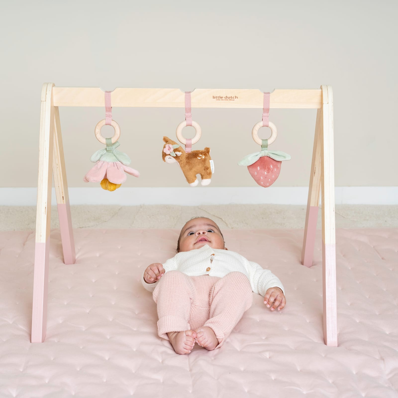 Baby Gym - Fairy Garden