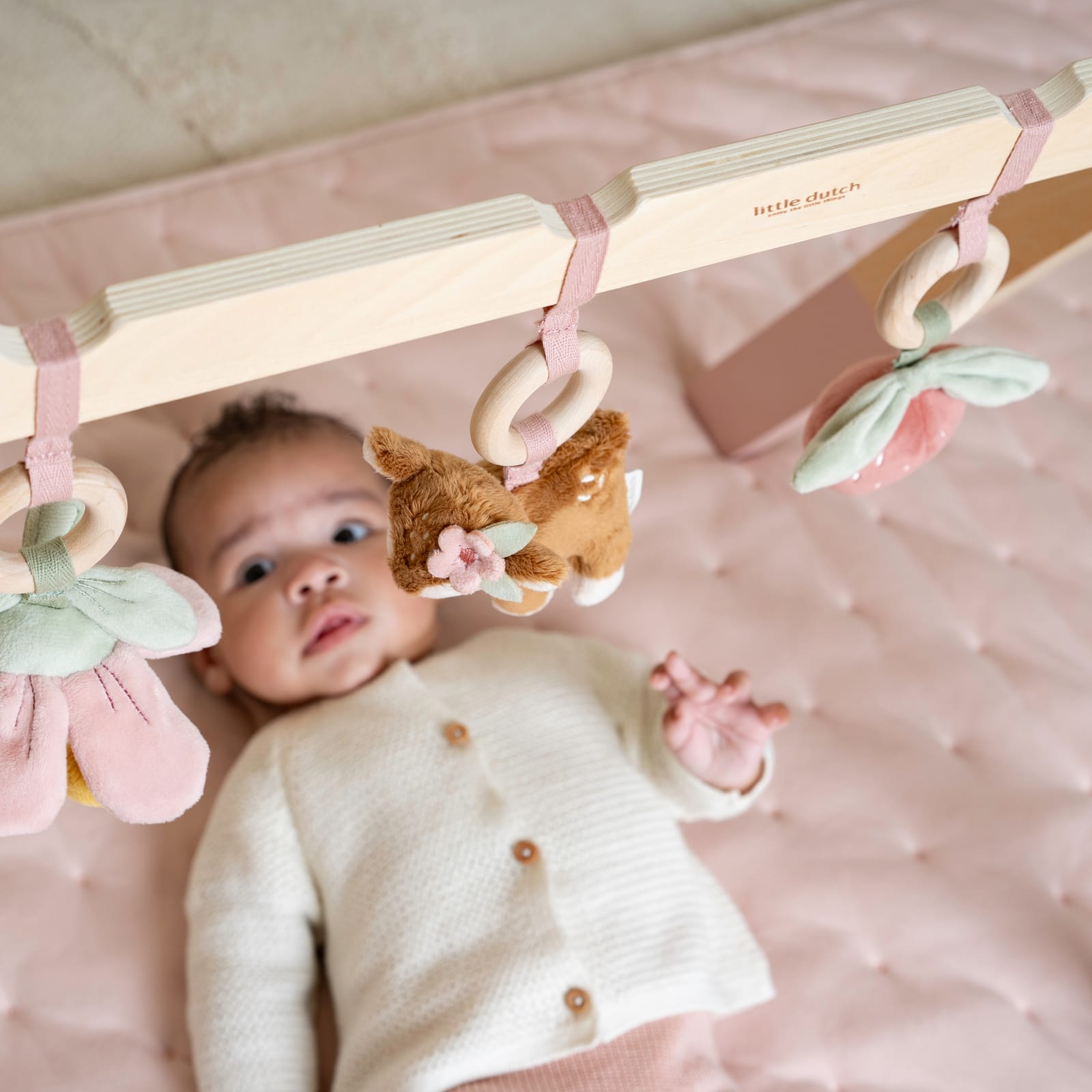 Baby Gym - Fairy Garden