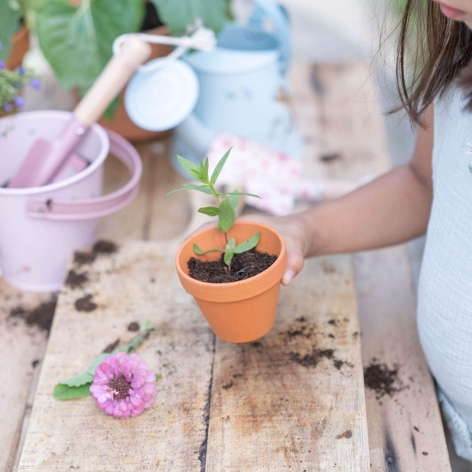 Bucket - Fairy Garden