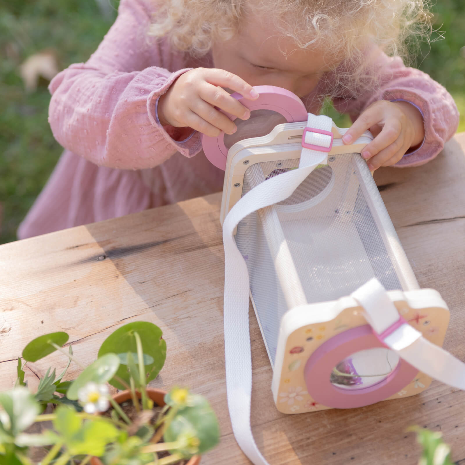 Insect Box - Fairy Garden