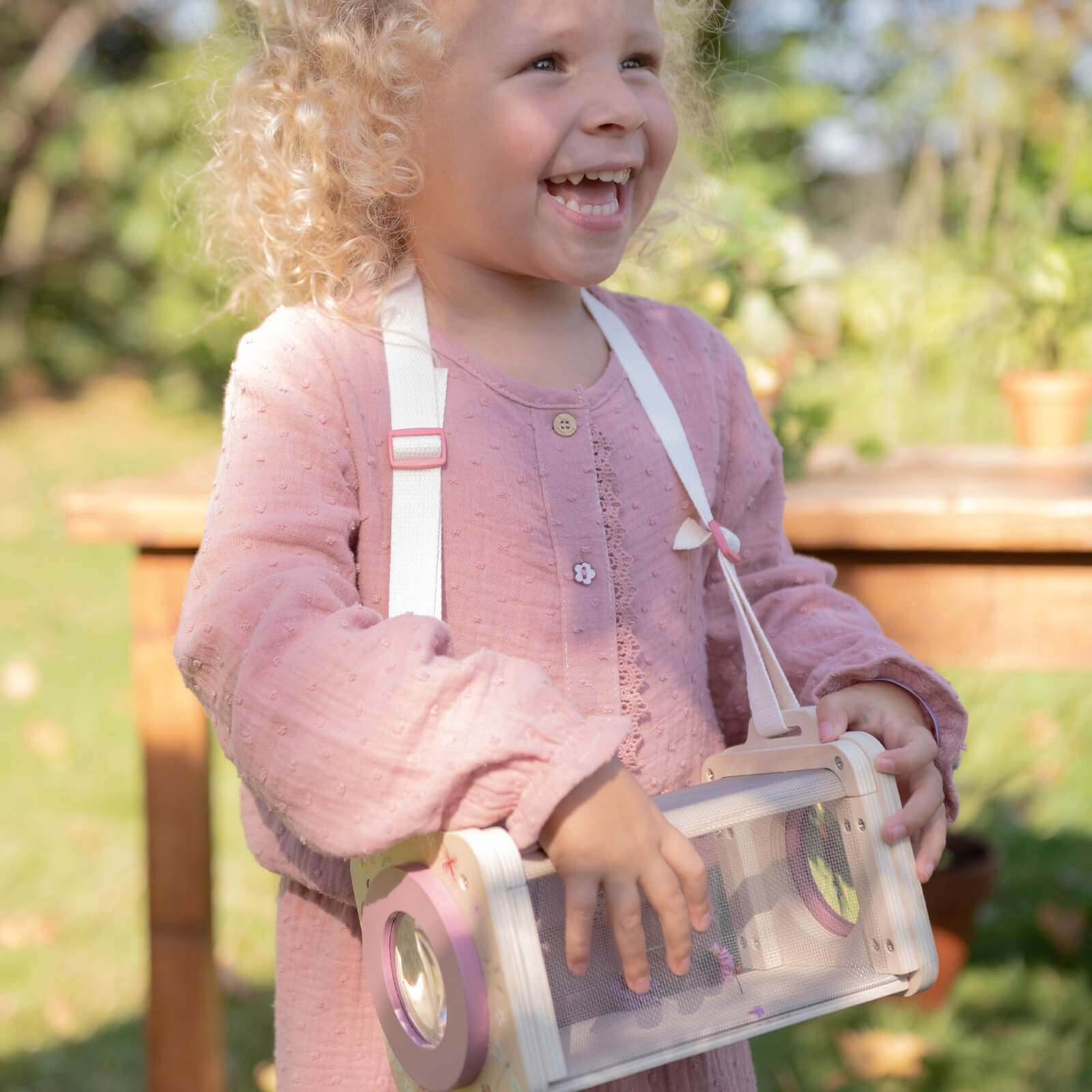 Insect Box - Fairy Garden