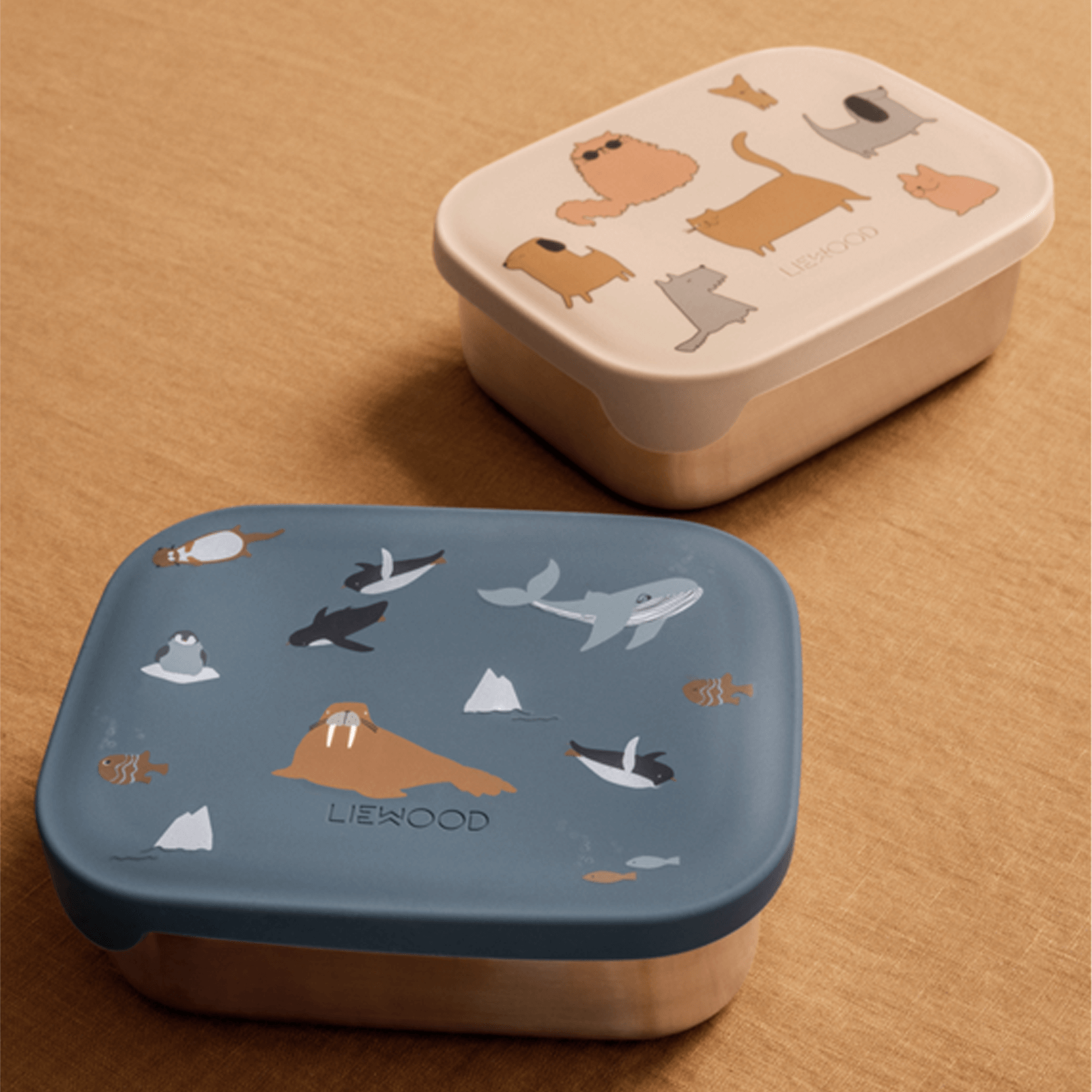 Arthur Lunchbox - Cats and Dogs Sandy