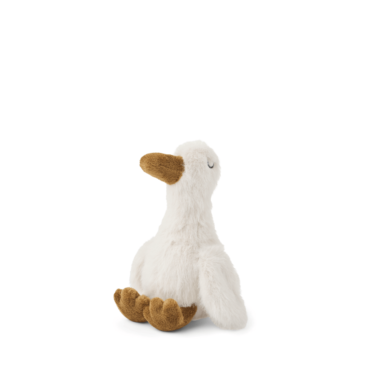 Spruce Goose Teddy - Sandy