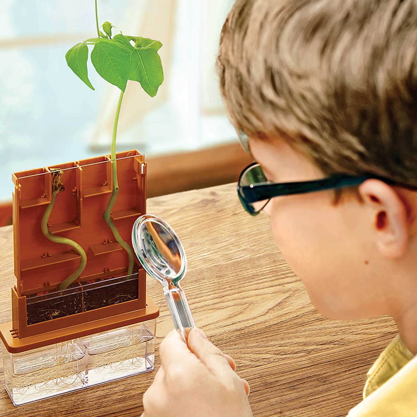 Green Science - Grow a Maze