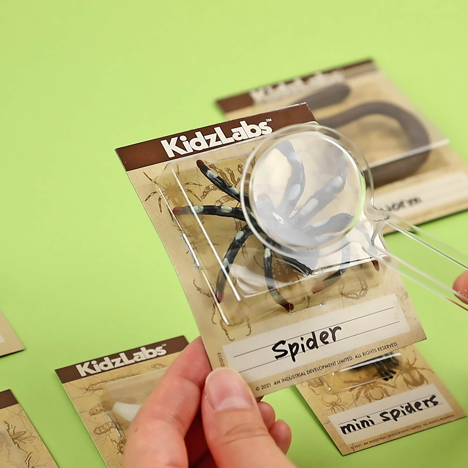 KidzLabs - Creepy Crawly Digging Kit