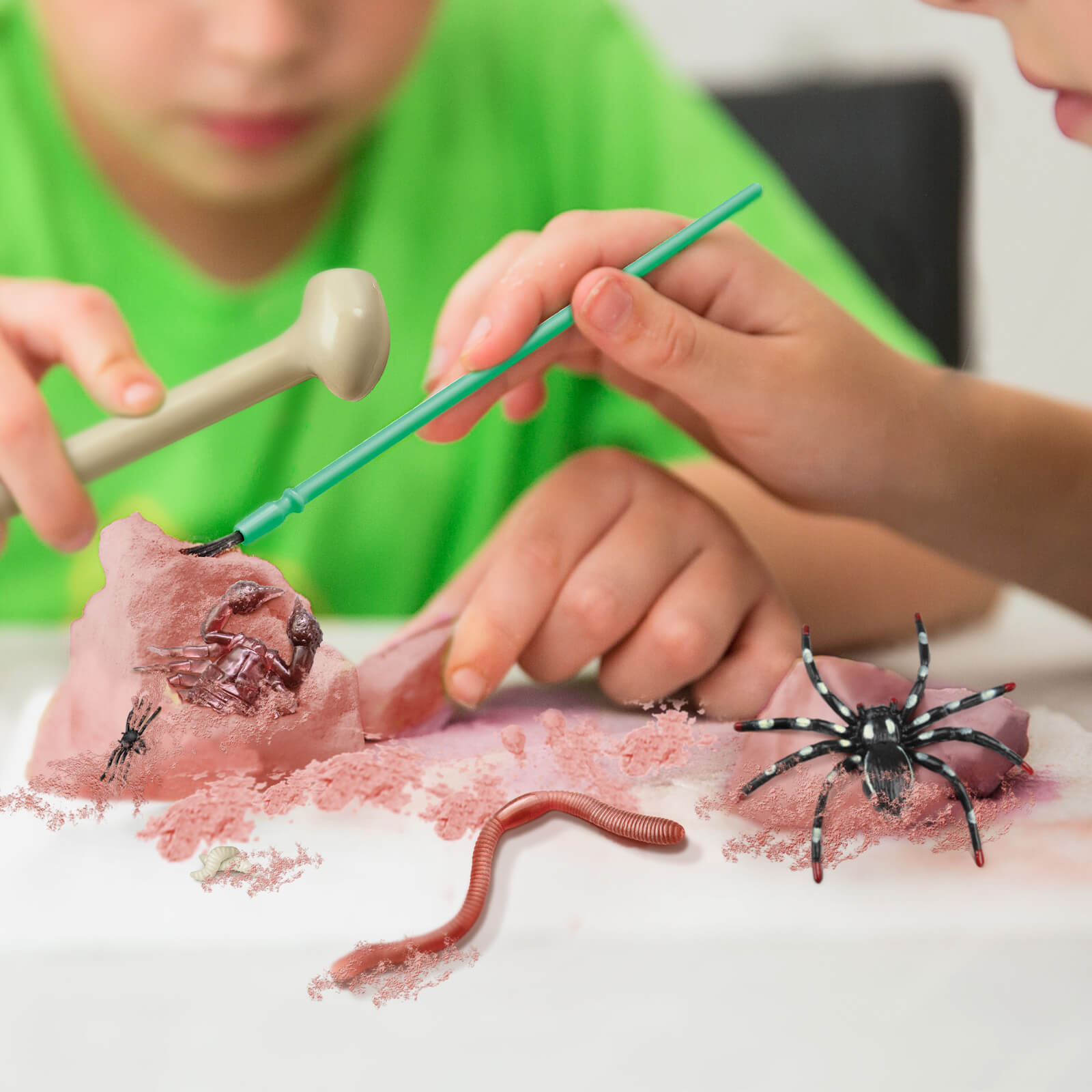 KidzLabs - Creepy Crawly Digging Kit