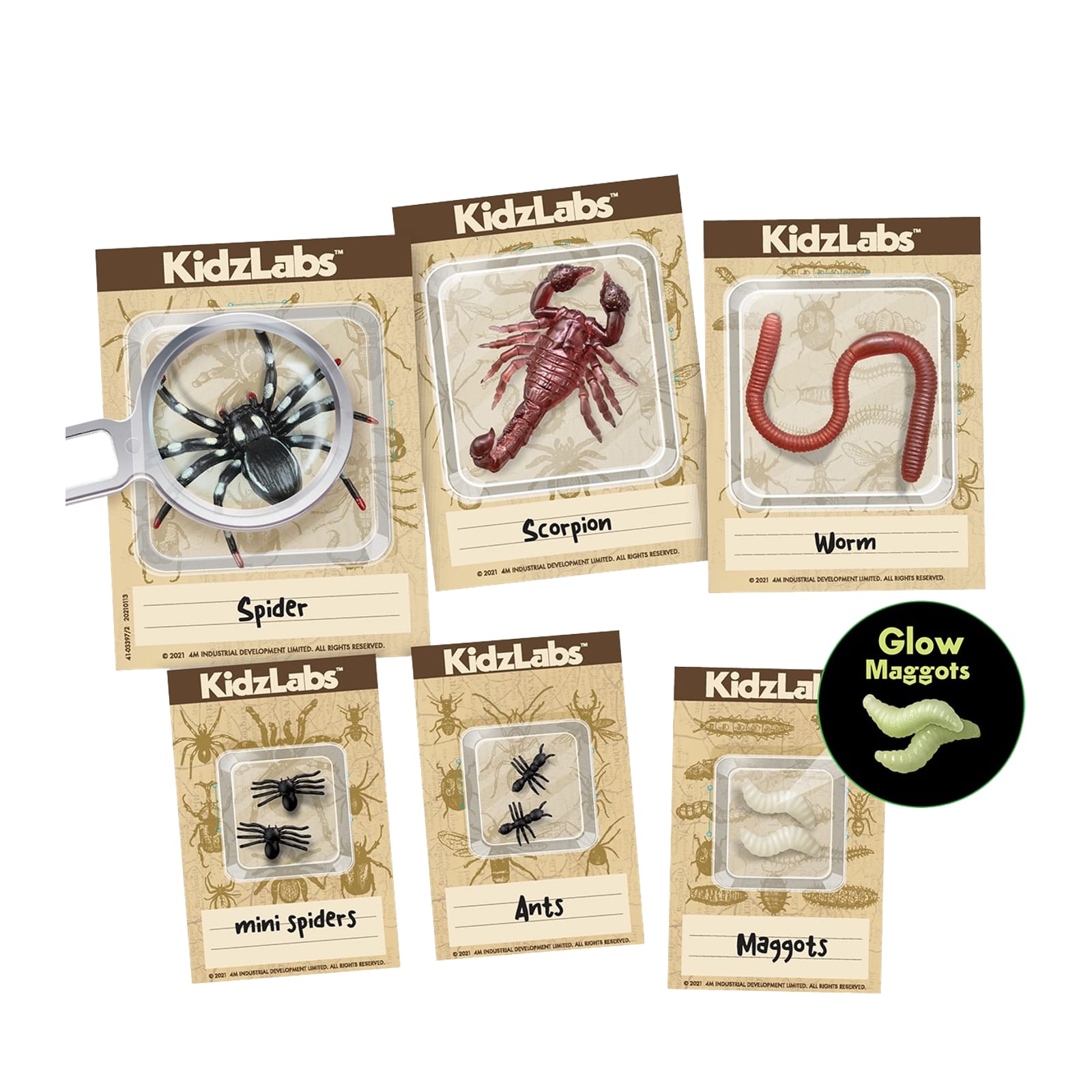 KidzLabs - Creepy Crawly Digging Kit