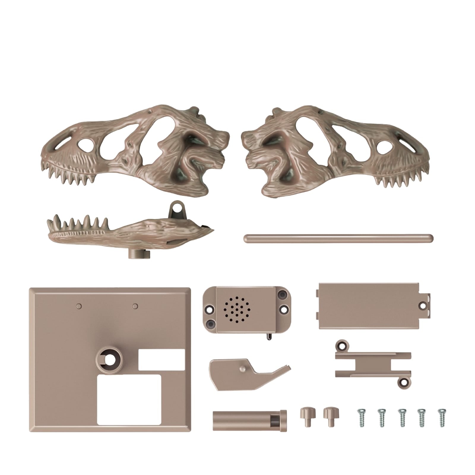 KidzLabs - Roaring T-Rex Skull