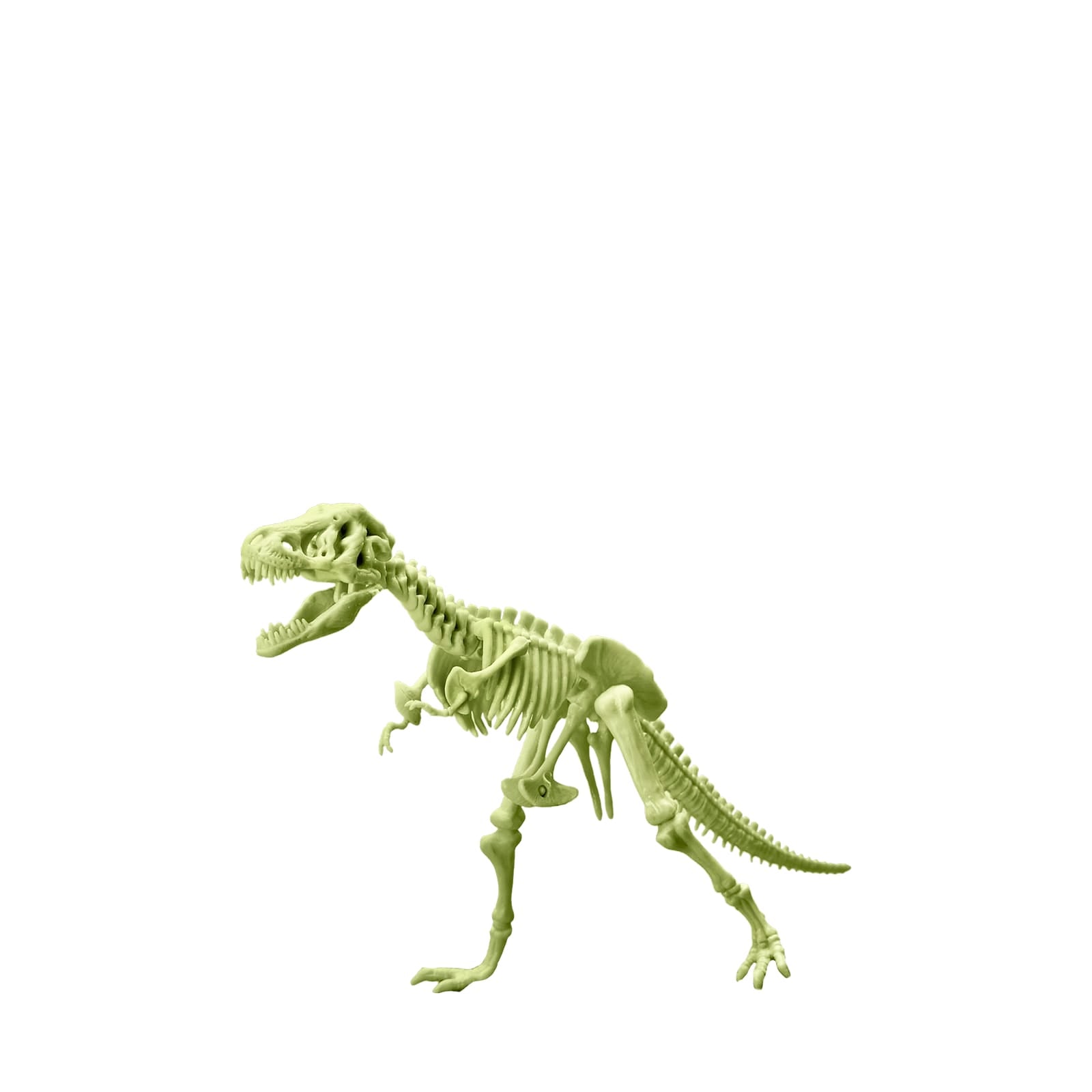 KidzLabs - Glowing T-Rex Skeleton