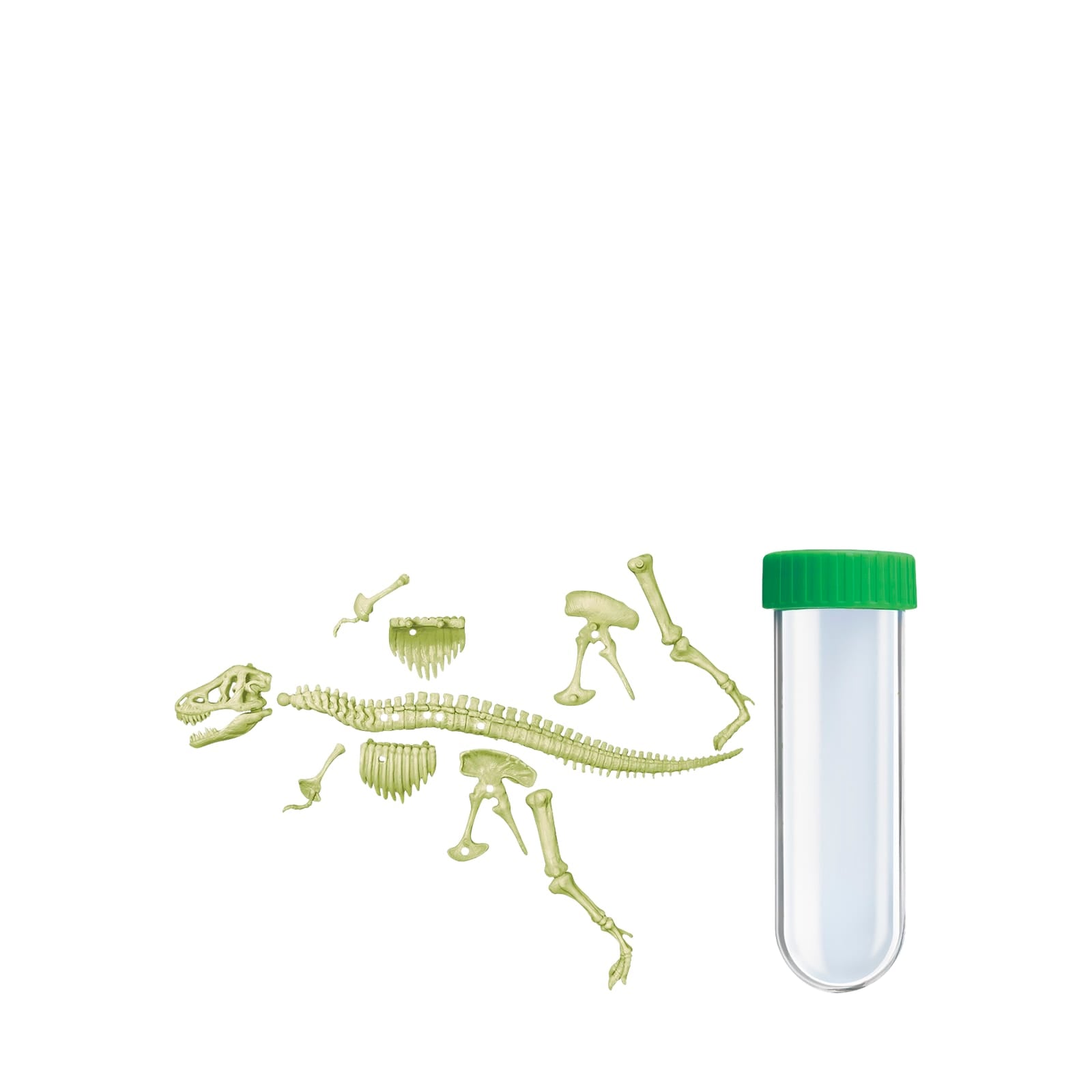 KidzLabs - Glowing T-Rex Skeleton