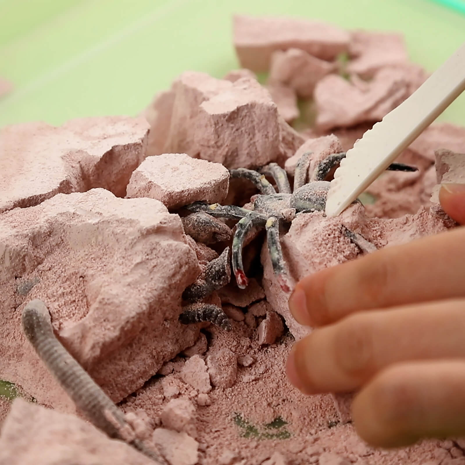 KidzLabs - Creepy Crawly Digging Lab
