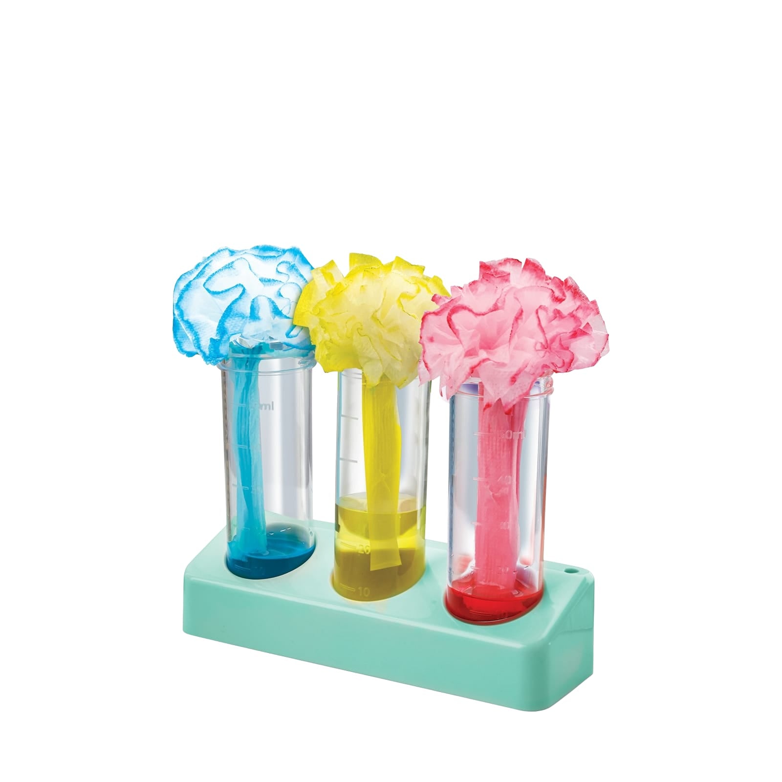 KidzLabs - Fizzy Bubble and Colour Lab