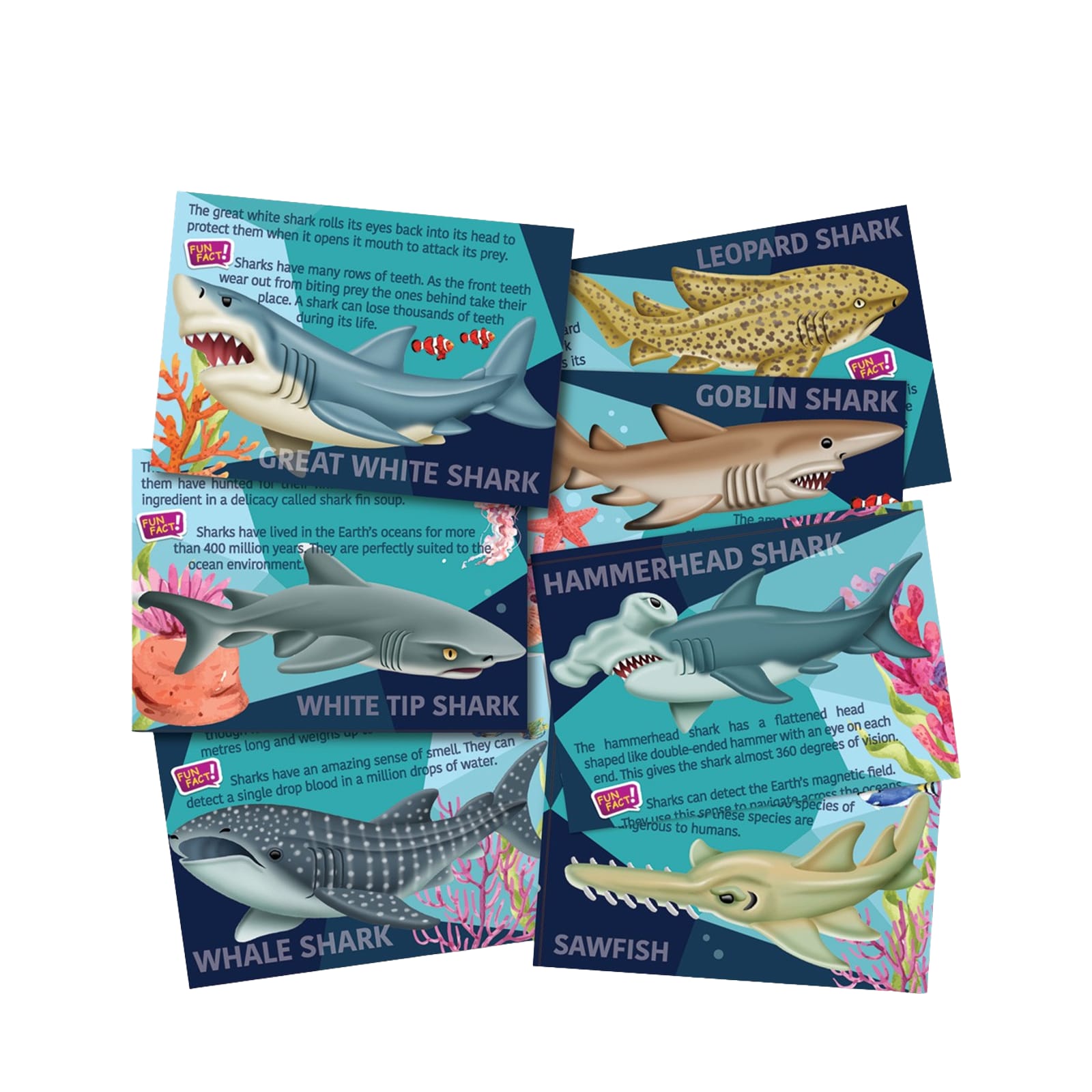 Mould and Paint - Sharks