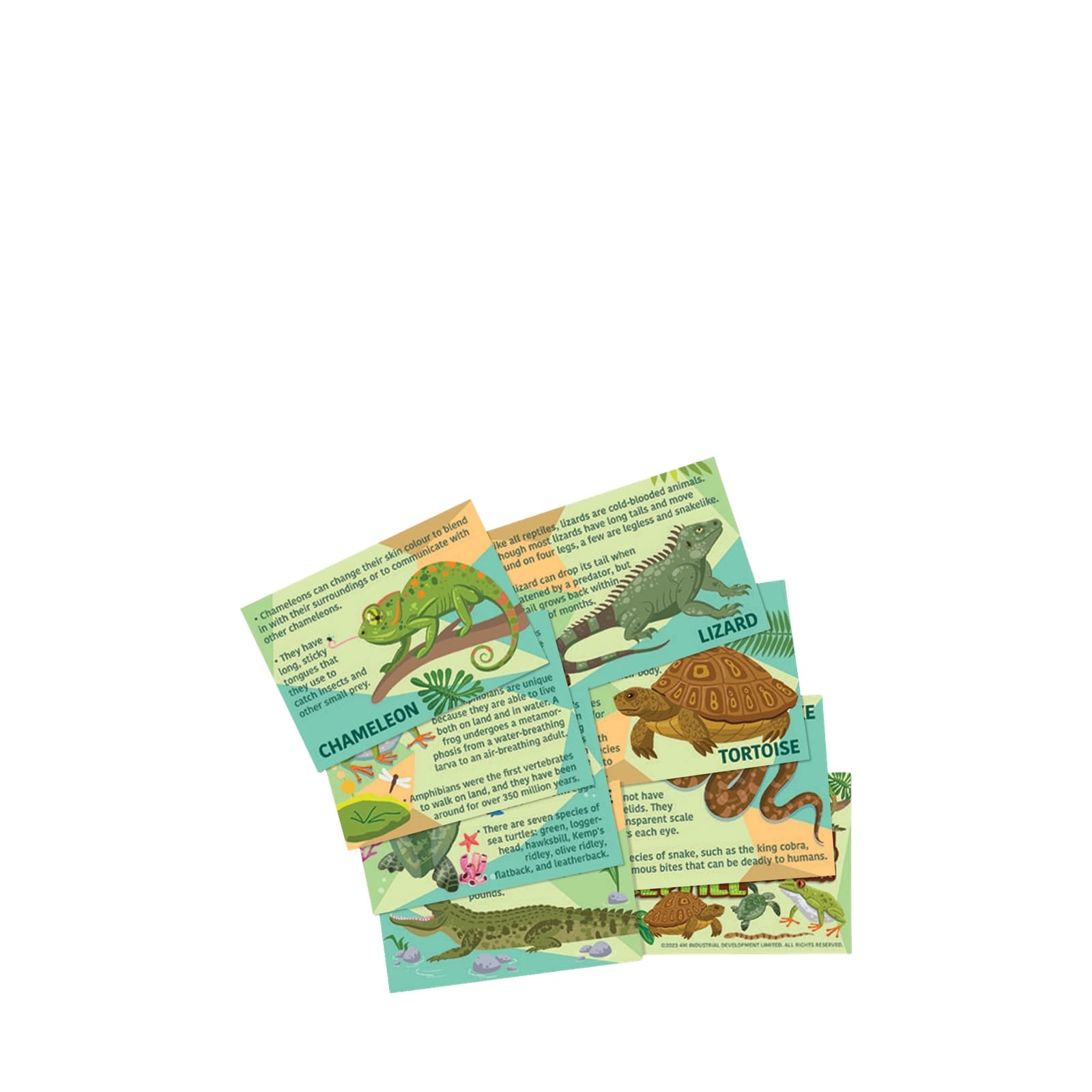 Mould and Paint - Reptile and Amphibian