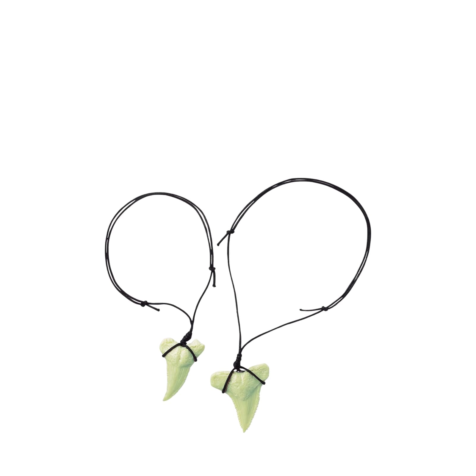 KidzLabs - Dig A Glow Shark Tooth Fossils