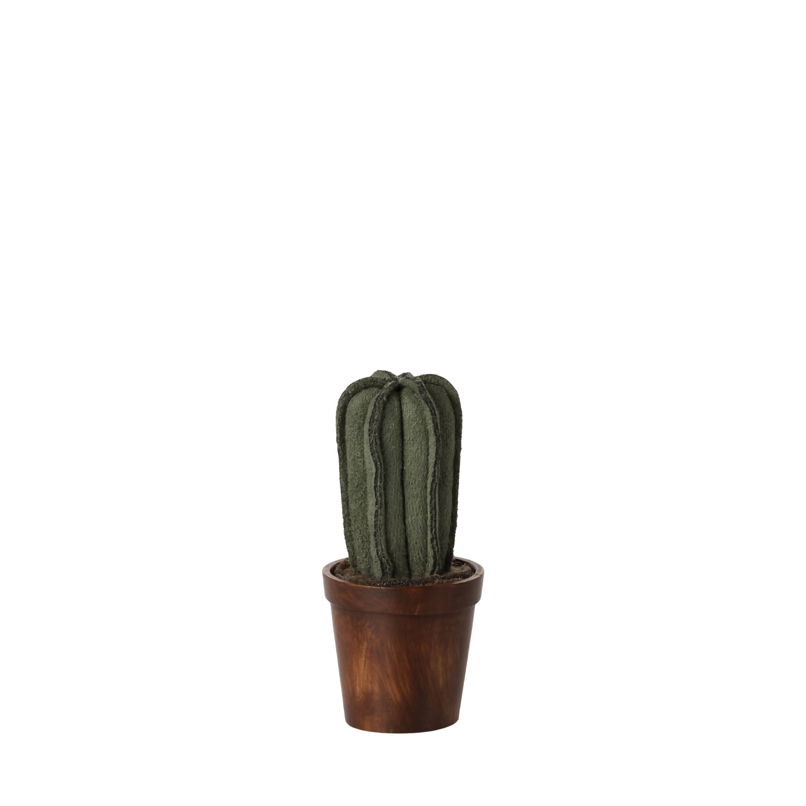 Flower Pot With Cactus