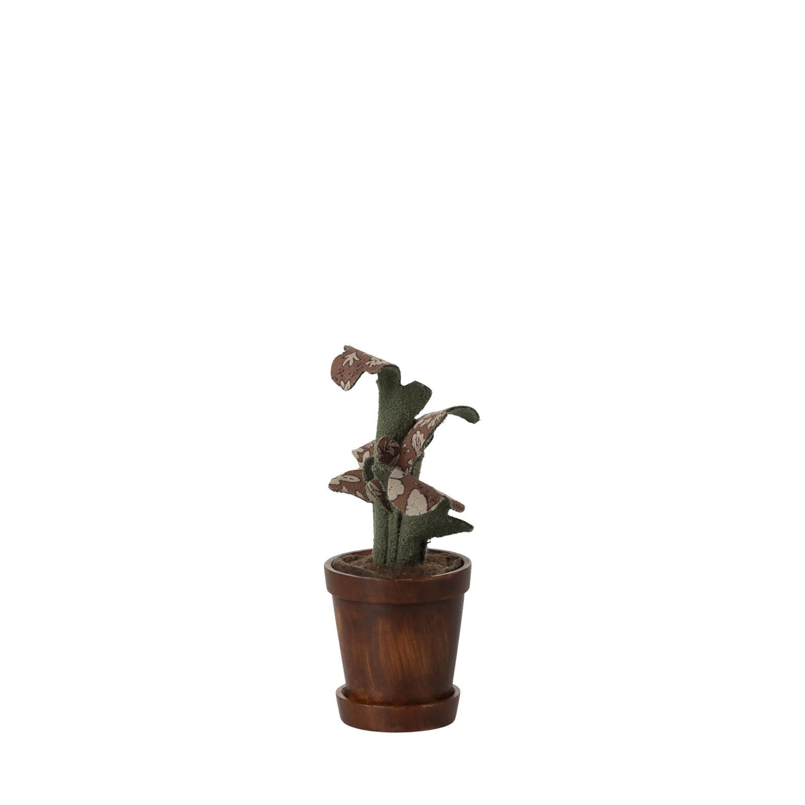 Flower Pot with Plant